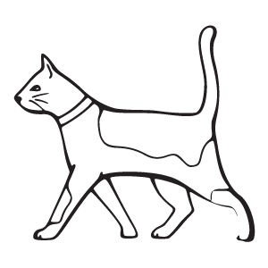 na41