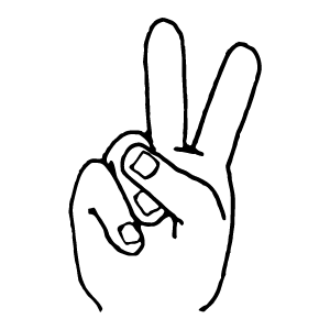 sy36
