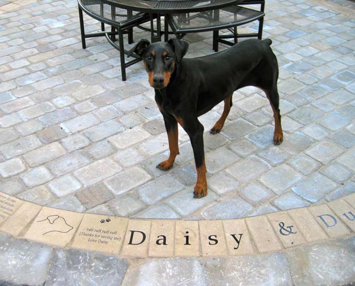 engraved gift bricks for daisy the dog